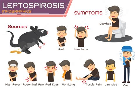 leptospirose sintomas-4